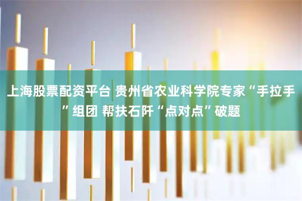 上海股票配资平台 贵州省农业科学院专家“手拉手”组团 帮扶石阡“点对点”破题